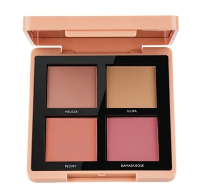 مجموعة بلاشر احمر الخدود مايسترو اكاديمي بوكيه من توب فيس - 001