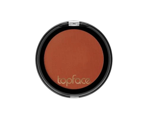 ظلال العيون إنستايل مات مونو من توب فيس - 113